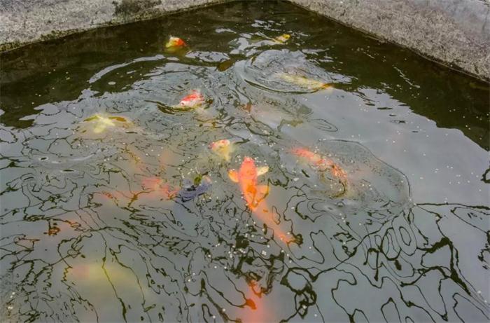 豪门国际·(中国游)官方网站