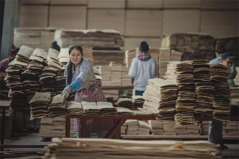 豪门国际之造——豪门国际22周年特殊贡献品质篇