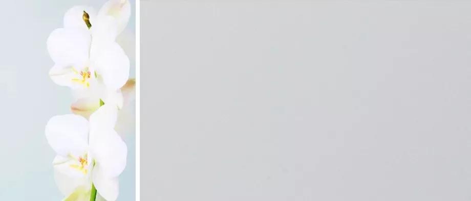 豪门国际·(中国游)官方网站